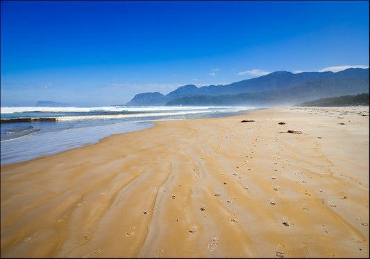 10371991 Prion Beach, available in multiple sizes