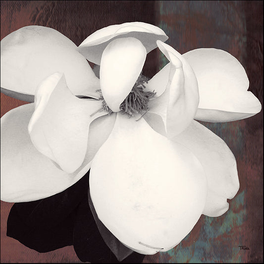 11804gg Magnolia Blue II, by Katrina Craven, available in multiple sizes