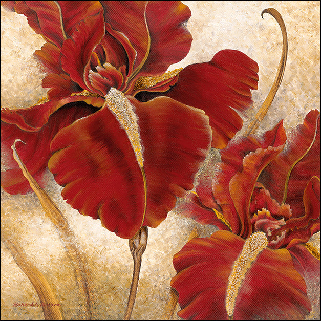 11966gg Red Iris, by Richard Henson, available in multiple sizes