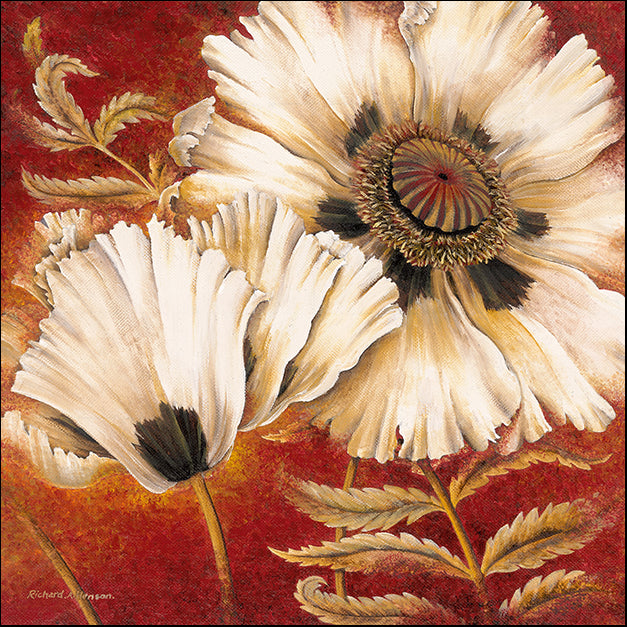 11967gg White Poppy, by Richard Henson, available in multiple sizes