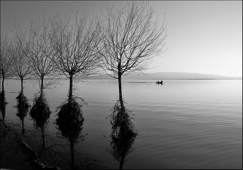 12042141 Lake with trees, available in multiple sizes