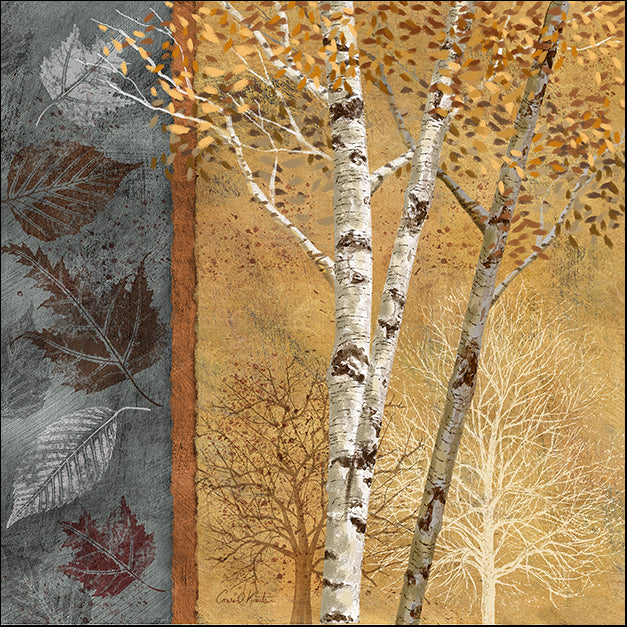 12302gg Birch Trees in Autumn I, by Conrad Knutsen, available in multiple sizes