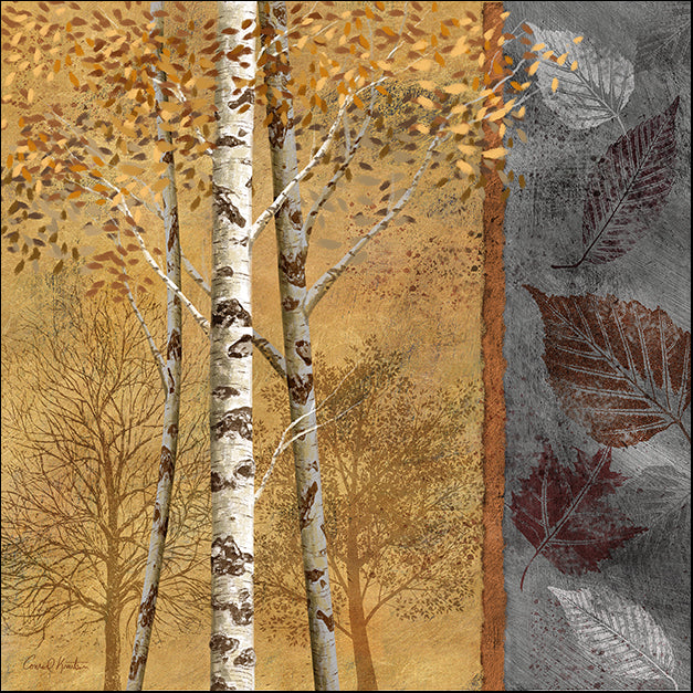 12303gg Birch Trees in Autumn II, by Conrad Knutsen, available in multiple sizes