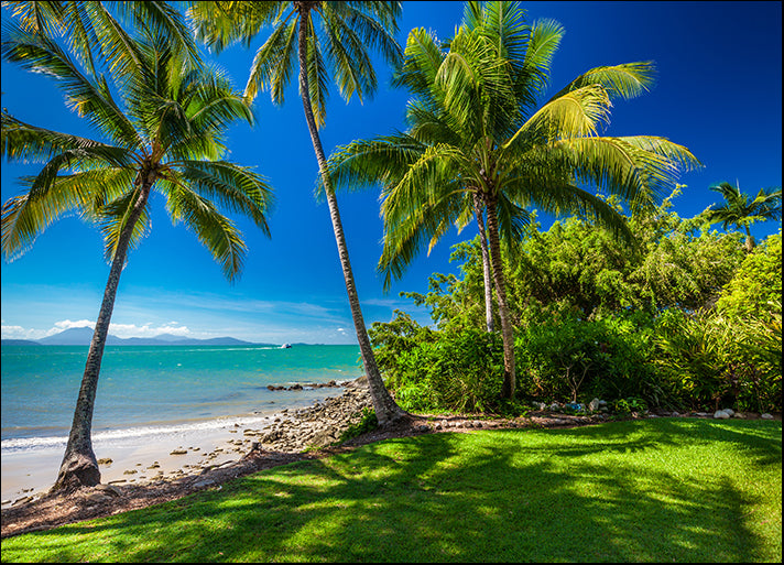 124202039 Rex Smeal Park in Port Douglas with tropical palm trees and beach, Australia, available in multiple sizes