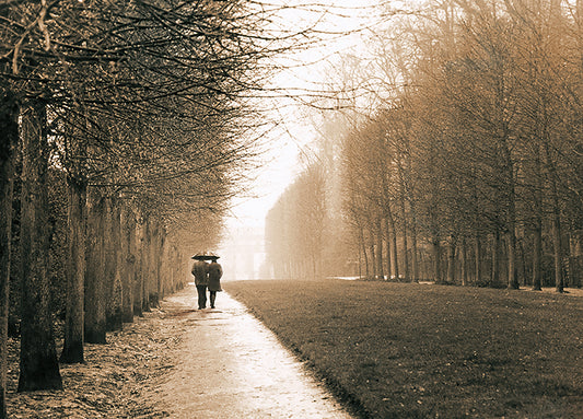 12495gg Park at Versailles, by Connie Wellnitz, available in multiple sizes