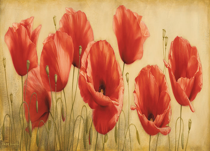 12526gg Poppies Grace I , by Igor Levashov, available in multiple sizes