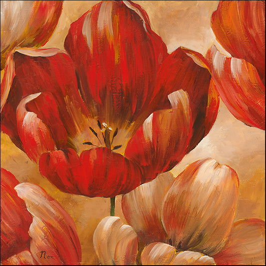 12744gg Sunlit Bloom I, by Nan, available in multiple sizes - Chamton
