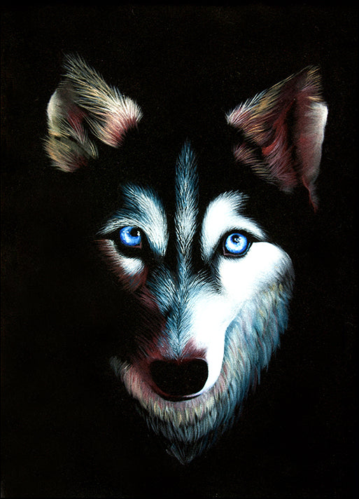 129614549 Husky, available in multiple sizes