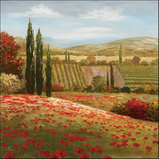 12965gg Tuscan Cypress I, by Nan, available in multiple sizes