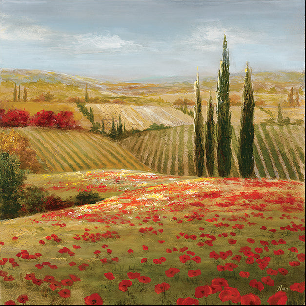 12966gg Tuscan Cypress II, by Nan, available in multiple sizes
