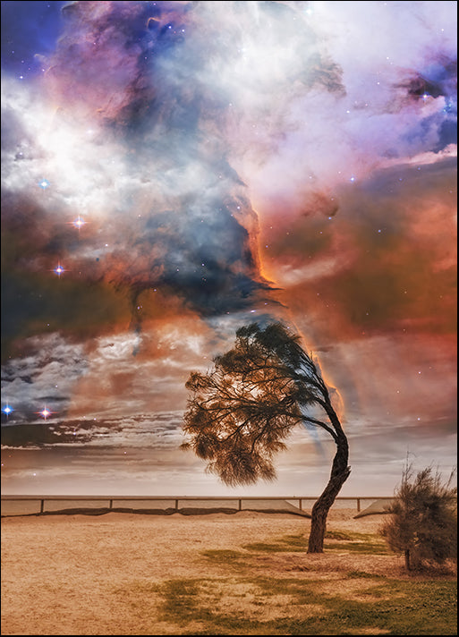 130202756 Lone Tree, available in multiple sizes