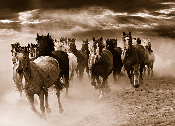 13143gg Running Horses, by Monte Nagler, available in multiple sizes
