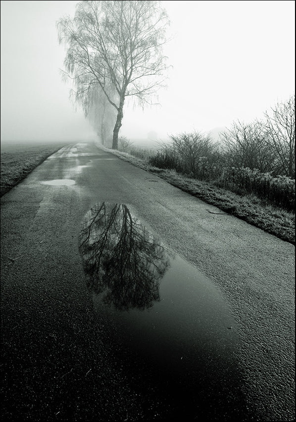 13228705 Road of Reflection, available in multiple sizes