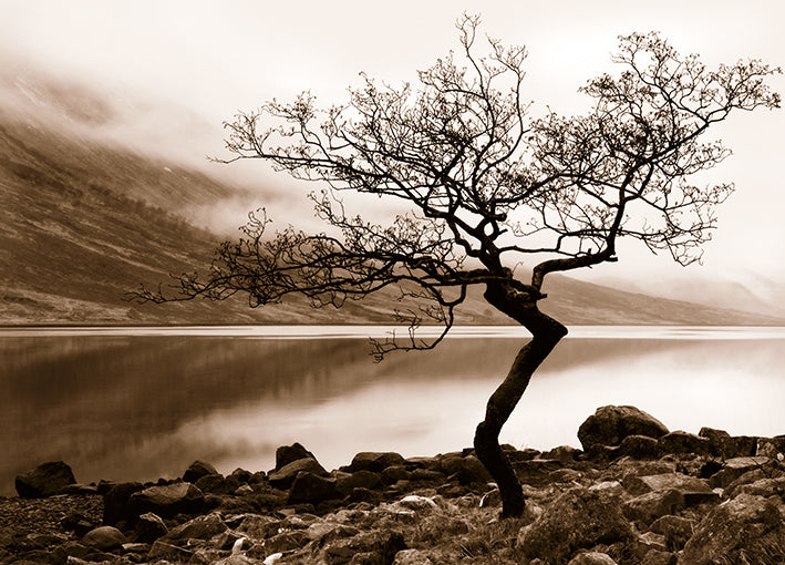 13429gg Loch Etive, by Danita Delimont, available in multiple sizes