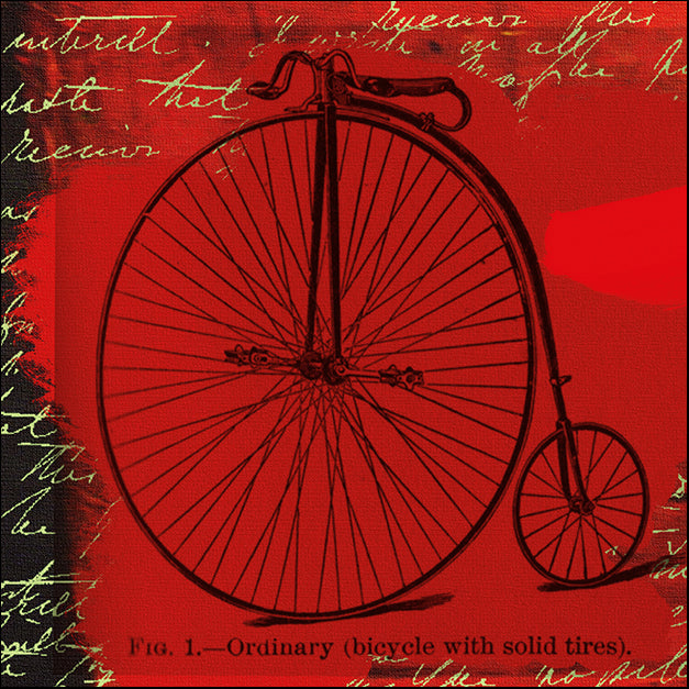 13454gg Bicycle II, by Andrew Cotton, available in multiple sizes