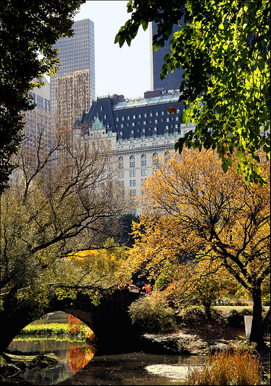 13545710 Central Park New York, available in multiple sizes - Chamton