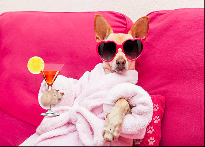 136376795 chihuahua dog relaxing in sunglasses, drinking a martini cocktail, available in multiple sizes