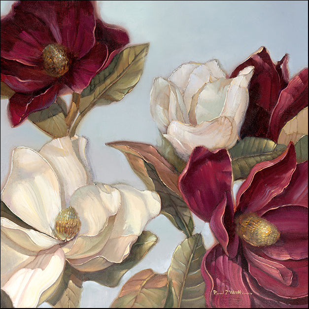 13650gg Magnolia, by Paul Mathenia, available in multiple sizes