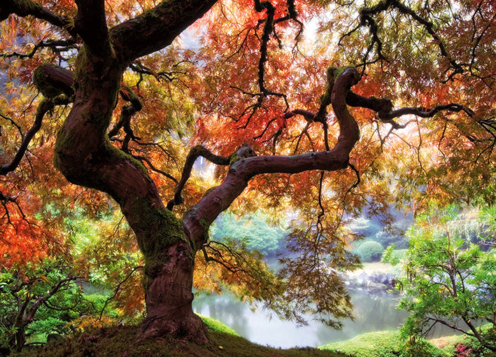 13704gg Dreaming of October, by Aaron Reed, available in multiple sizes