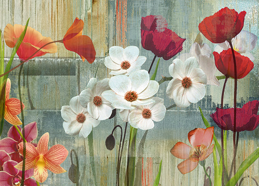 13757gg Field Of Flowers, by Maria Donovan, available in multiple sizes