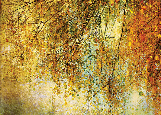 13985gg Twelfth Night, by Anne Staub, available in multiple sizes