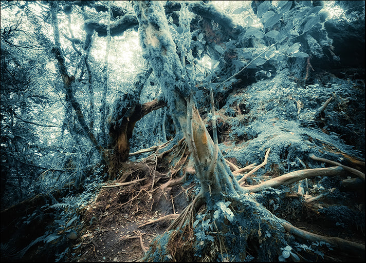 140771906 Surreal colors of fantasy landscape at mystical tropical mossy forest, available in multiple sizes