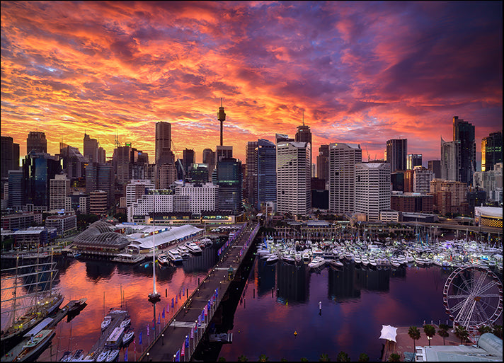 141295886 Sunrise of Darling Harbour, Sydney Australia, available in multiple sizes