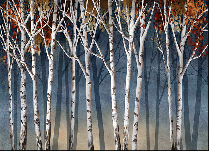 14386gg Birch Shadows, by Conrad Knutsen, available in multiple sizes
