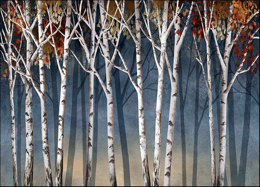 14386gg Birch Shadows, by Conrad Knutsen, available in multiple sizes