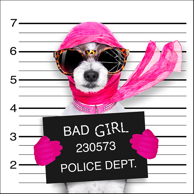 145600520 Jail Dog II, available in multiple sizes