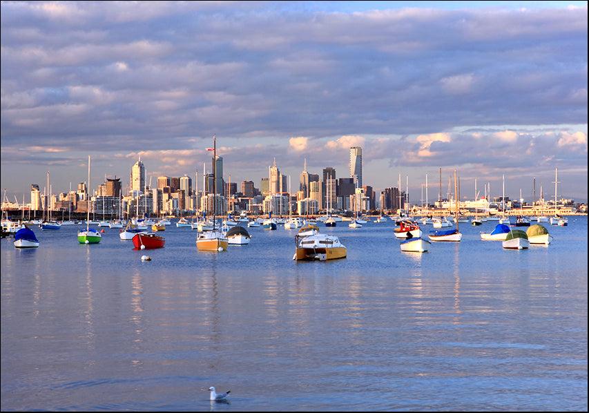 14813667 Melbourne seascape, available in multiple sizes