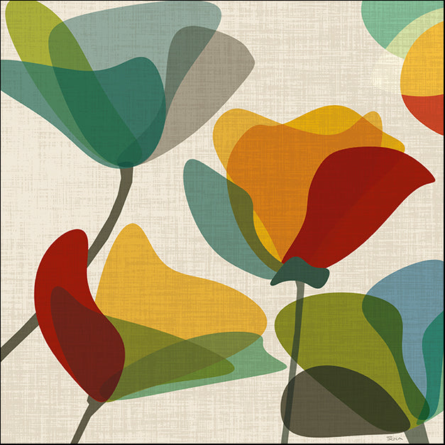 15074gg Flower Shapes II, by Katrina Craven, available in multiple sizes