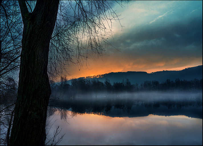 153309689 Reflection of trees from the water Foggy sunrise, available in multiple sizes - Chamton