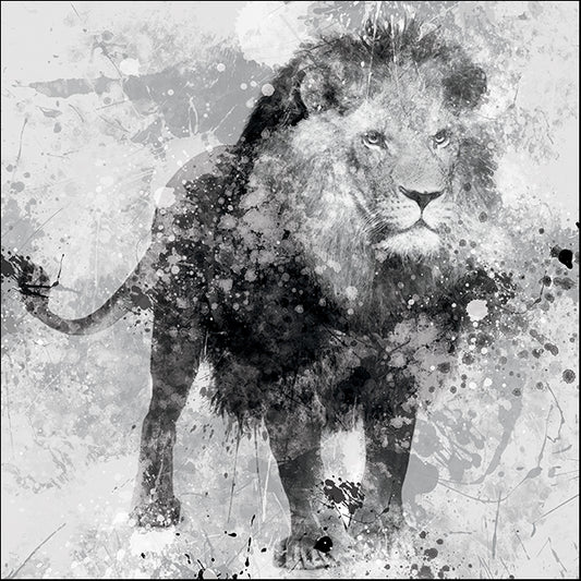 15593gg Lion, by Carol Robinson, available in multiple sizes - Chamton