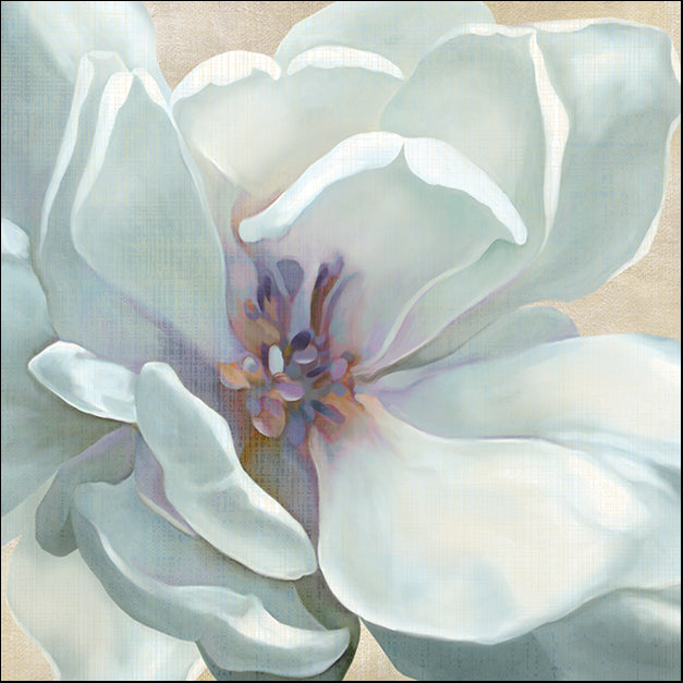 15658gg Iridescent Bloom I, by Carol Robinson, available in multiple sizes