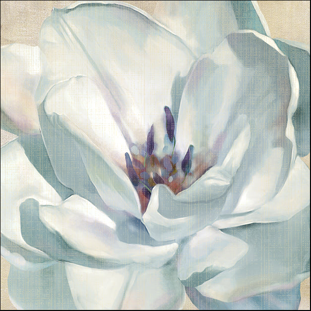 15659gg Iridescent Bloom II, by Carol Robinson, available in multiple sizes