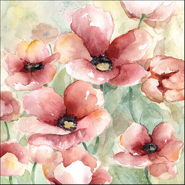 15664gg Poppy Field I, by Carol Robinson, available in multiple sizes