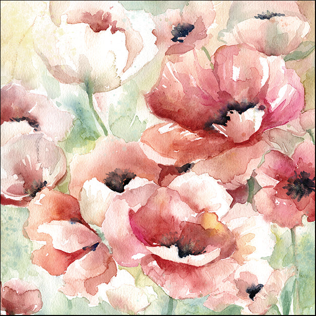 15665gg Poppy Field II, by Carol Robinson, available in multiple sizes