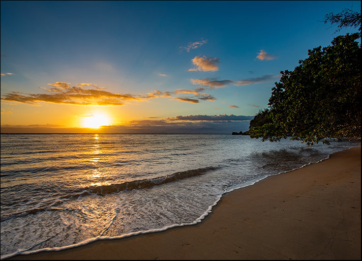 157379909 Idylic sunset over beautiful dream paradise beach of Masoala, available in multiple sizes