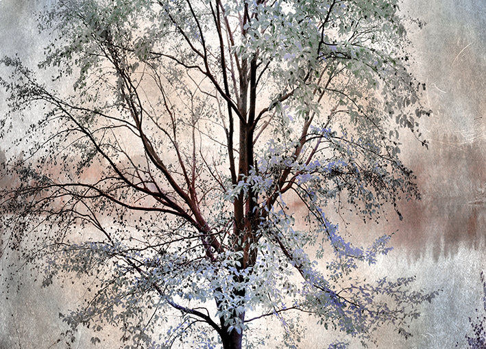 15856gg Dreamin' of Spring, by Irene Weisz, available in multiple sizes