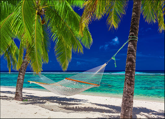 158937236 Between the Palms, available in multiple sizes