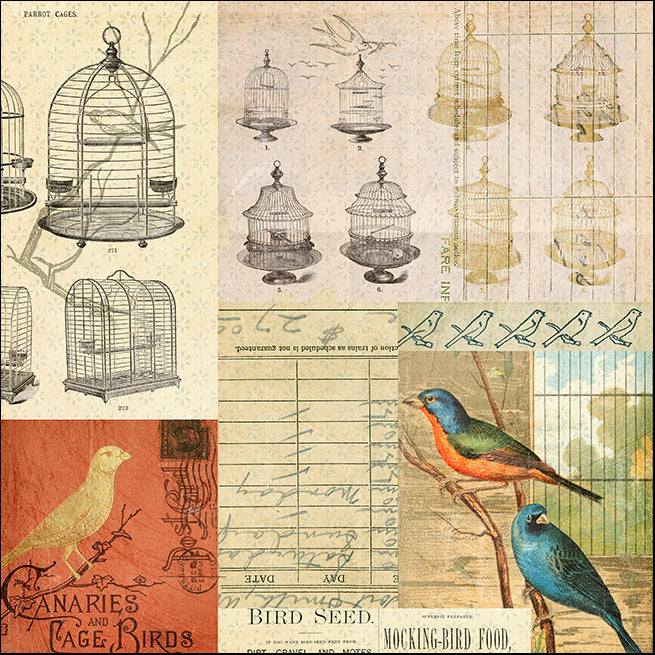 16287542 Vintage birds, available in multiple sizes