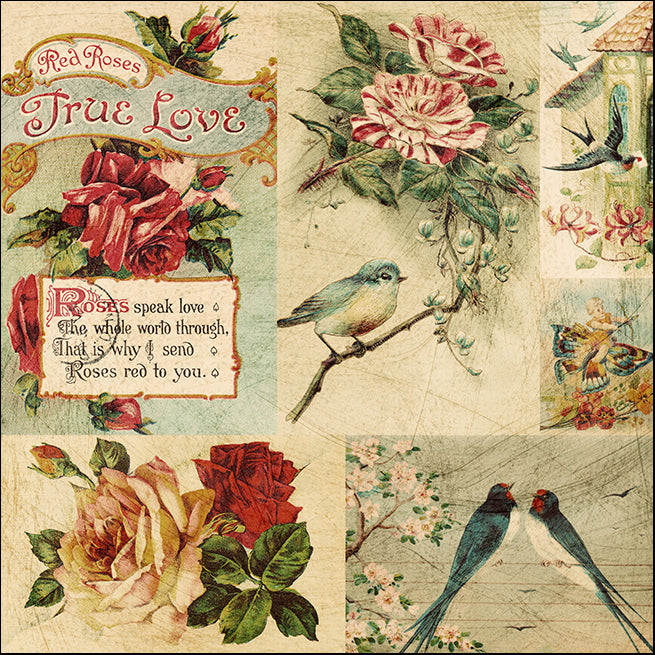 16287550 Vintage birds, available in multiple sizes