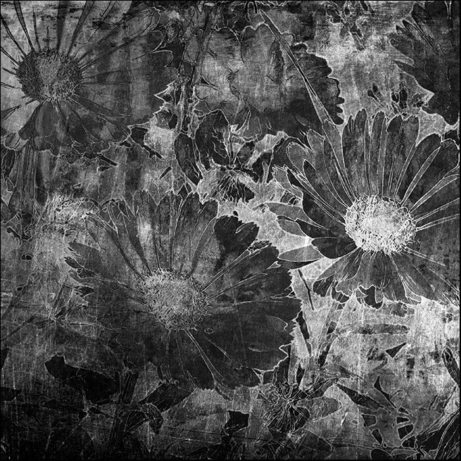 16313147 Floral Abstract, available in multiple sizes - Chamton