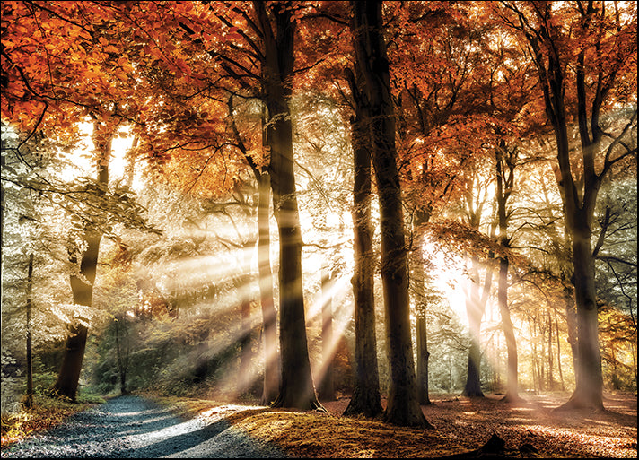 16367gg Dreaming in Color, by Lars Van de Goor, available in multiple sizes