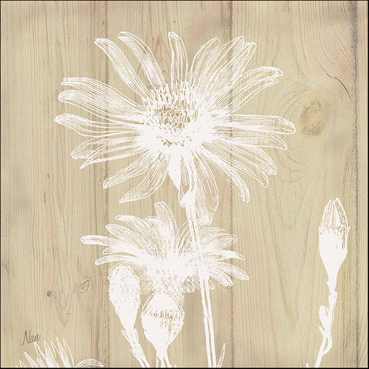 16459gg White Silhouette III, by Nan, available in multiple sizes