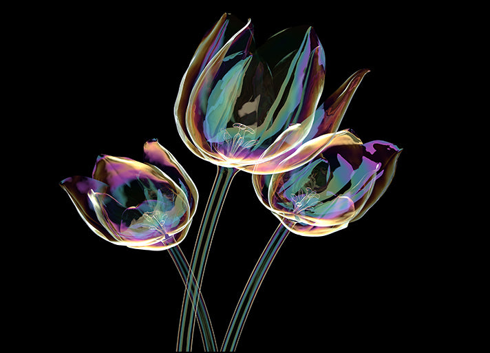 165498839 X-Ray Tulip I, available in multiple sizes