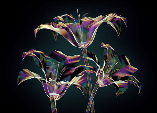 165500786 X-Ray Lilly III, available in multiple sizes