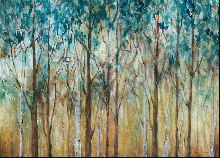 16871gg Sunlit Birch Grove, by Carol Robinson, available in multiple sizes