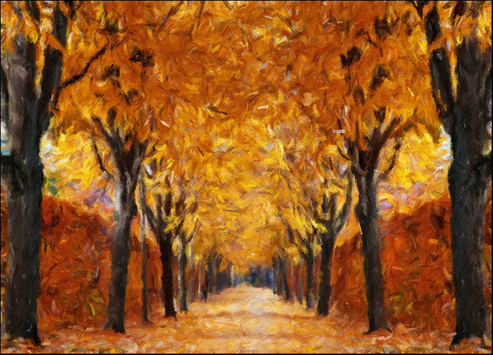 169215422 colorful autumn trees, available in multiple sizes